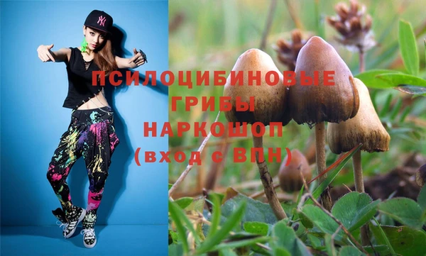 не бодяженный Алексин